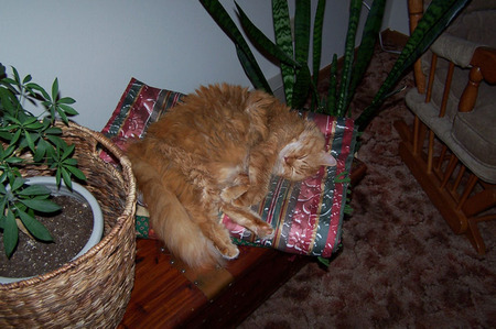 100_3496.JPG