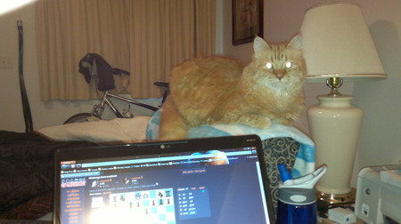 Demon Eyes.jpg